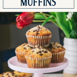 Tray of chocolate chip muffins with text title box at top