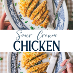Long collage image of sour cream chicken