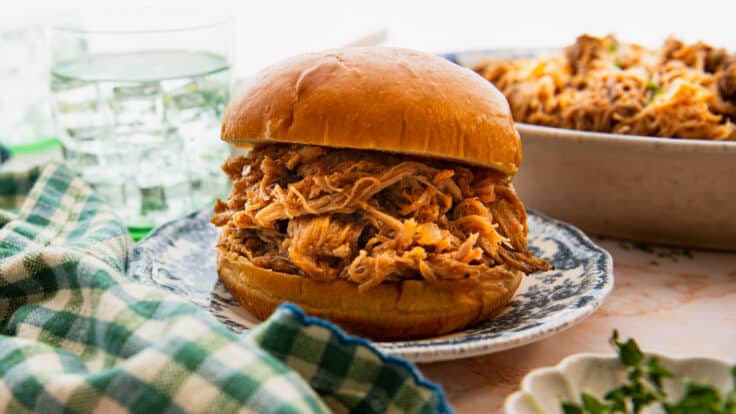 Horizontal side shot of an apricot pulled pork sandwich on a plate.