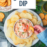 Overhead image of Ritz cracker dipped in shrimp dip with text title overlay