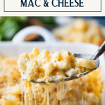 Spoonful of creamy mac and cheese with text title box at top