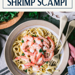 Overhead shot of hands holding a bowl of easy shrimp scampi with text title box at top