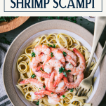 Close overhead image of a bowl of easy shrimp scampi with text title box at top