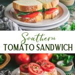 Long collage image of southern tomato sandwich