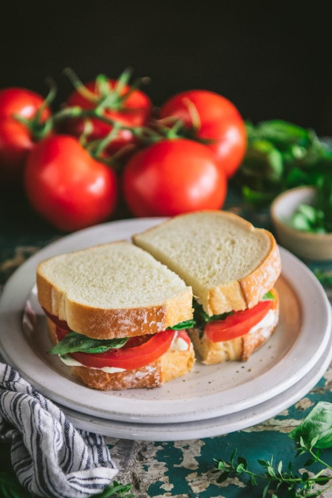 Tomato sandwich on a plate with ripe on the vine summer tomatoes in the background