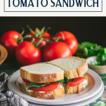 Side shot of a tomato sandwich on a plate with text title box at top