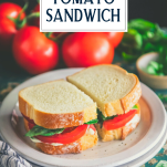 Tomato sandwich on a white plate with tomatoes and basil in the background with text title overlay