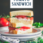 Stacked halves of a tomato sandwich on a white plate with a text title overlay