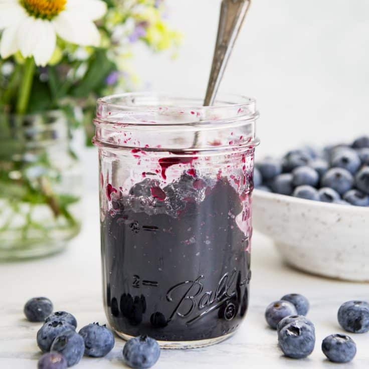 Blueberry Jam without Pectin The Seasoned Mom