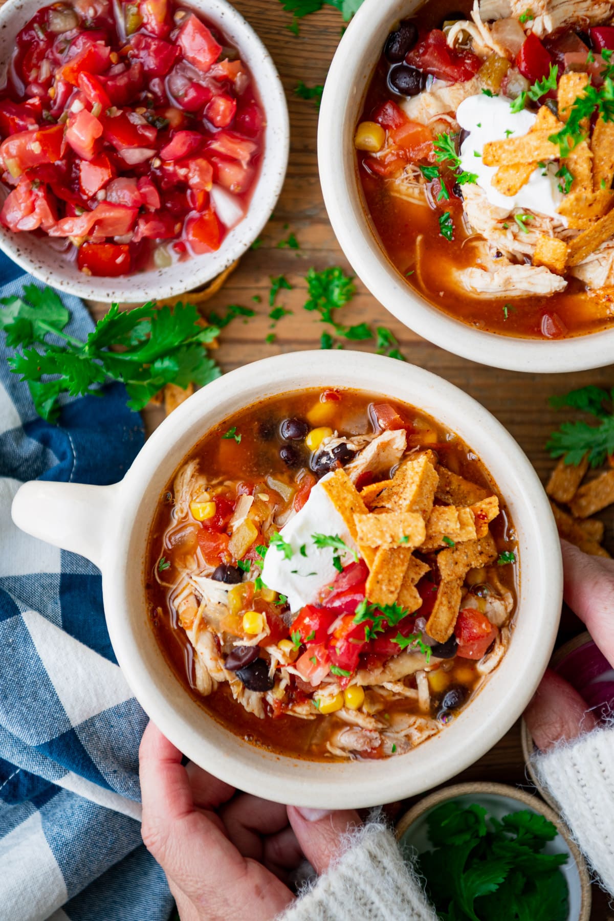 Crock Pot Chicken Tortilla Soup The Seasoned Mom