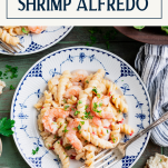 Plate of creamy shrimp alfredo pasta with text title box at top