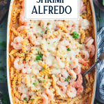 Pan of shrimp alfredo pasta with text title overlay