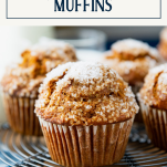 Pumpkin muffin with text title box at top
