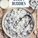 Overhead shot of a bowl of puppy chow with text title overlay
