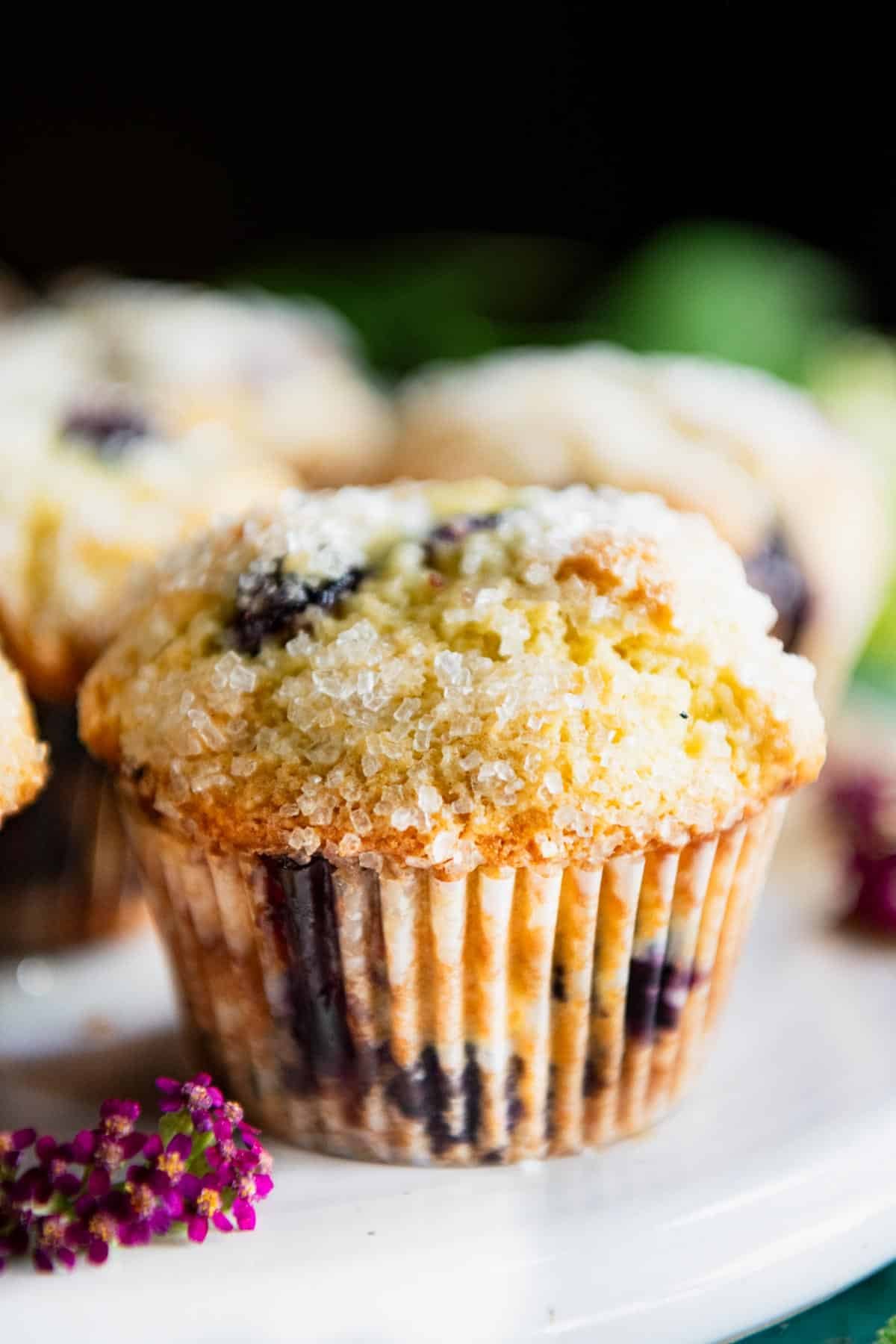 Front shot of bakery style blueberry muffins on a white platter.