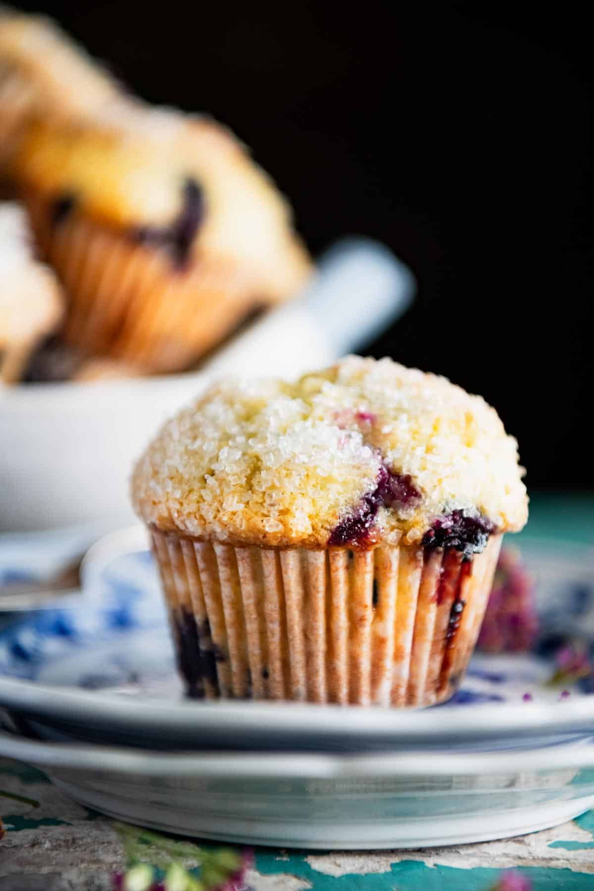 Front shot of a big sour cream blueberry muffin on a plate.