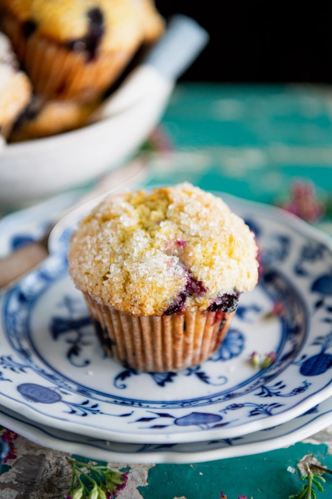Single blueberry muffin on a blue and white plate