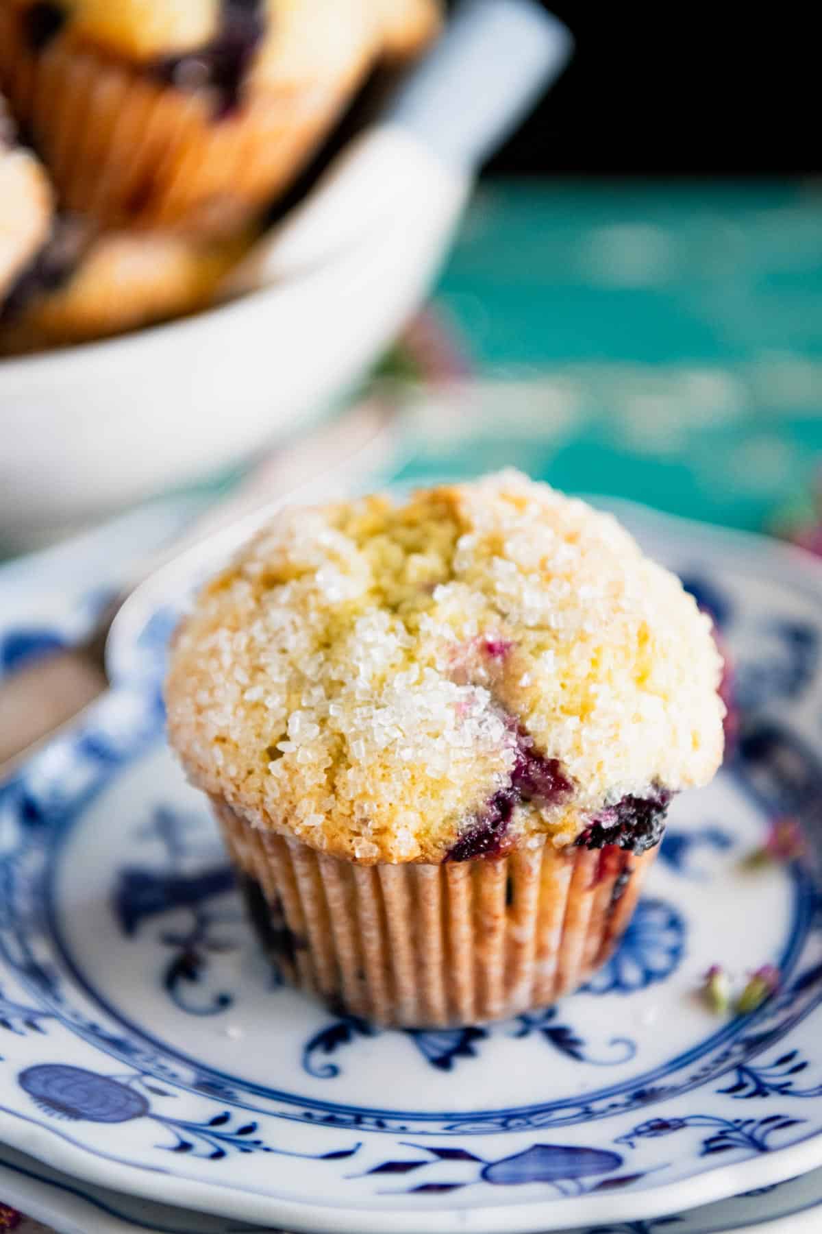 Sour cream blueberry muffin on a small blue and white plate.