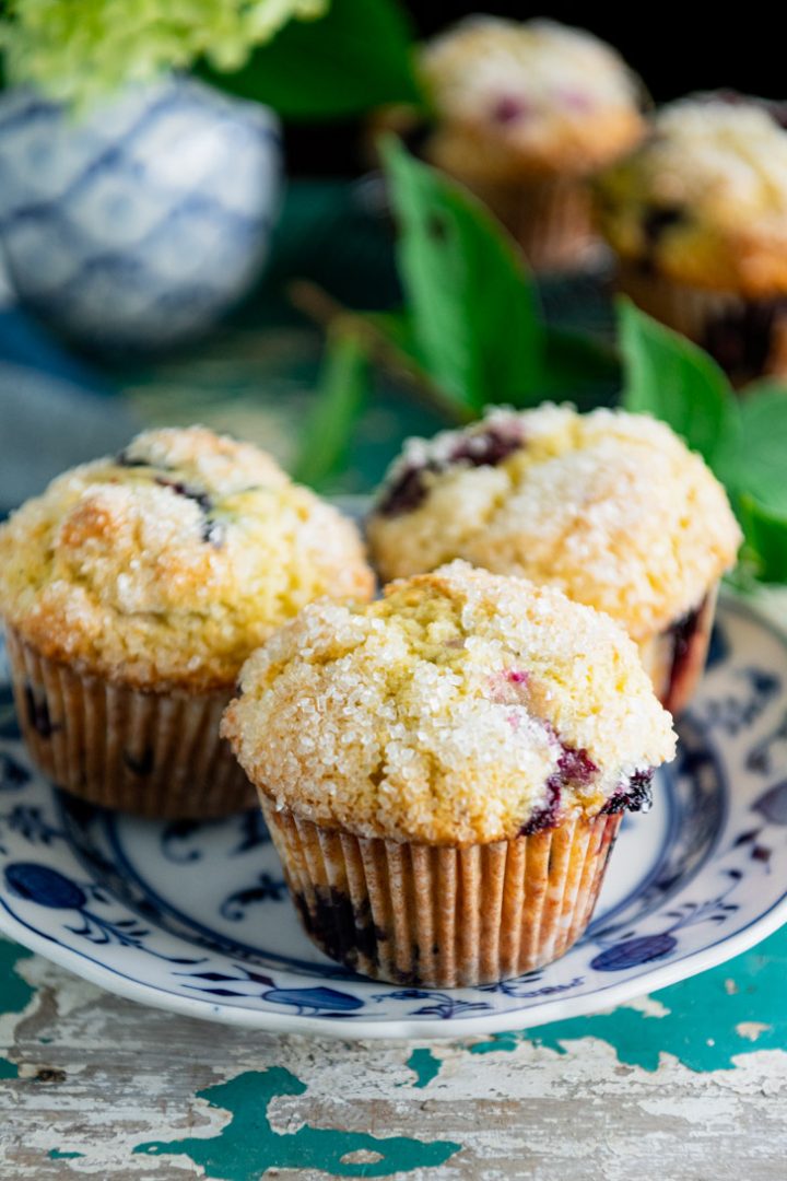Sour Cream Blueberry Muffins The Seasoned Mom