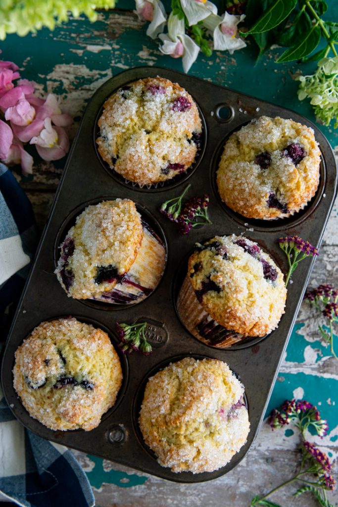 Overhead shot of a muffin tin with the best blueberry muffin recipe