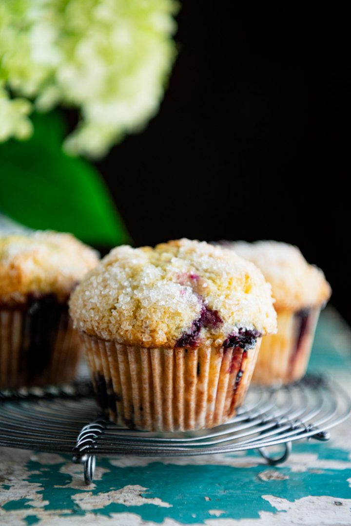 Sour Cream Blueberry Muffins The Seasoned Mom