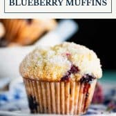 Sour cream blueberry muffins with text title box at top.