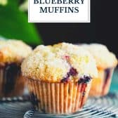 Sour cream blueberry muffins with text title overlay.