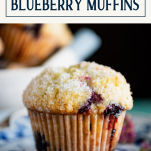 Close up of blueberry muffin with text title box at top
