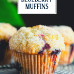 Close up of blueberry muffin with text title overlay