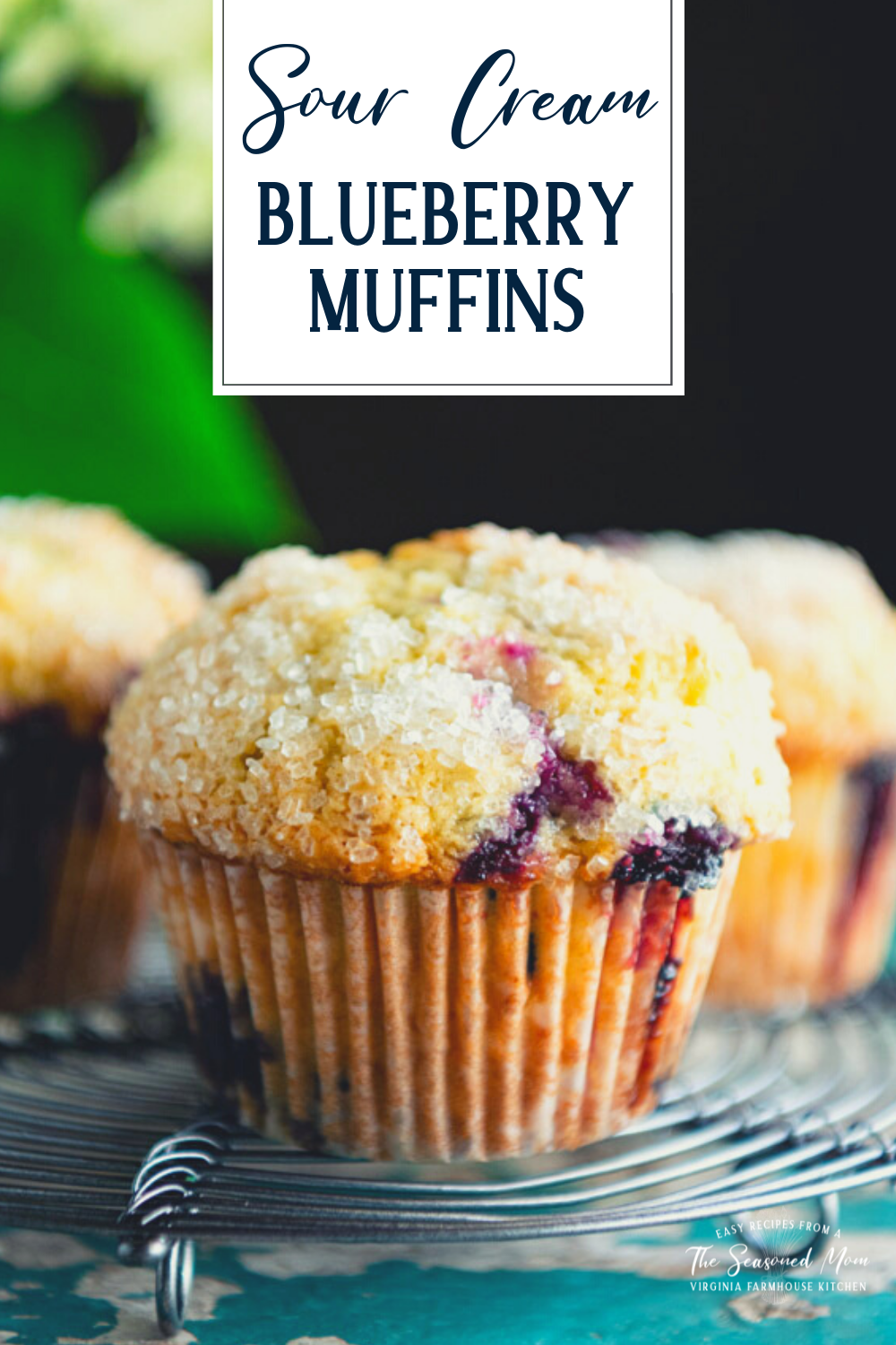 Sour Cream Blueberry Muffins The Seasoned Mom