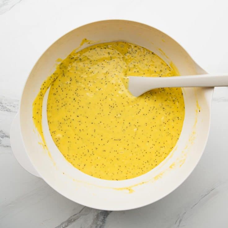 Process shot showing how to make lemon poppy seed cake from cake mix.