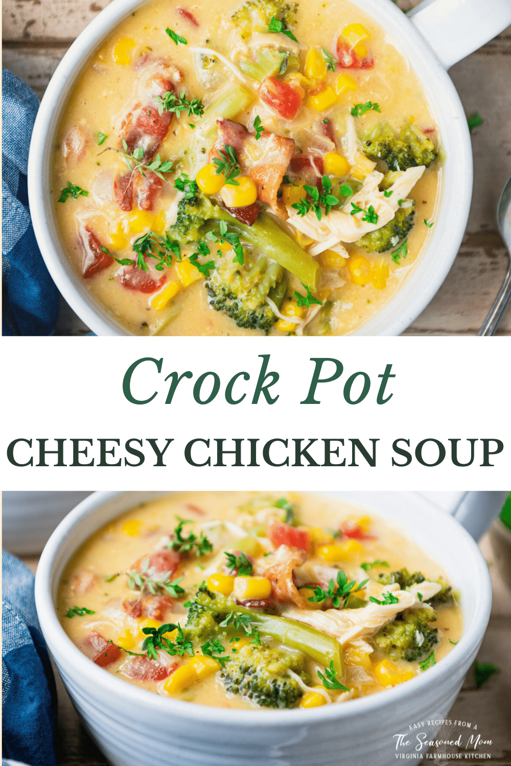 Cheesy Crock Pot Chicken Soup - The Seasoned Mom