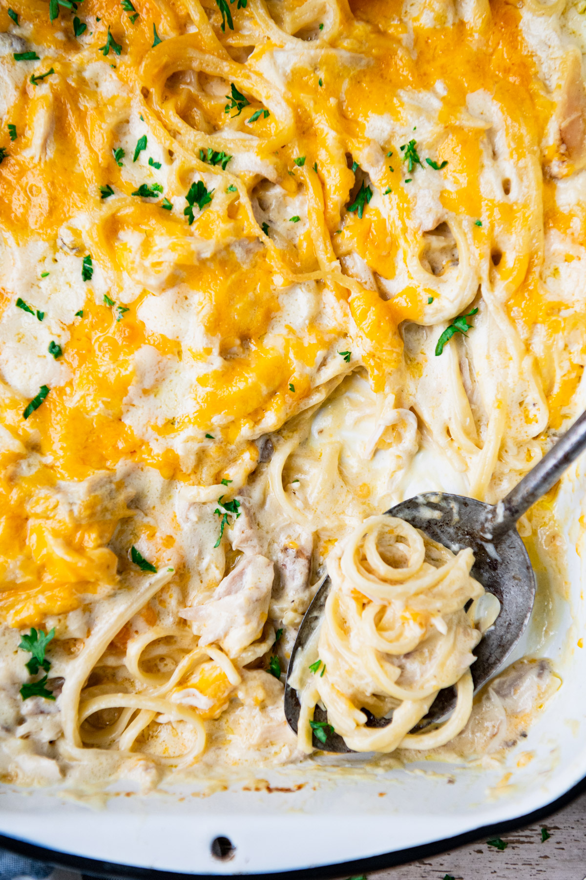 Easy Chicken Tetrazzini The Seasoned Mom