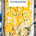 Overhead shot of a pan of chicken tetrazzini with text title overlay