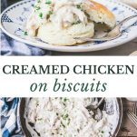 Long collage image of creamed chicken