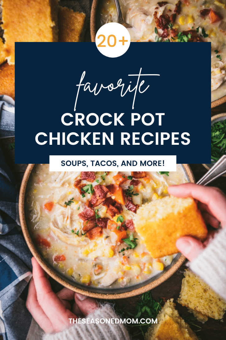 20+ Favorite Crock Pot Chicken Recipes The Seasoned Mom