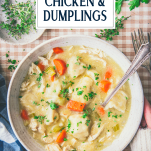 Hands holding a bowl of crock pot chicken and dumplings with text title overlay