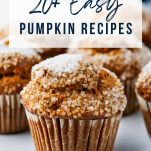 Image for collection of pumpkin recipes