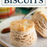 Pumpkin spice biscuits on a plate with text title box at top