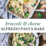 Long collage image of broccoli and cheese alfredo pasta bake