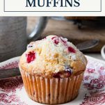 Cranberry orange muffin on a plate with text title box at top