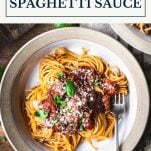 The best spaghetti sauce recipe with a text title box at top