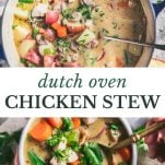 Long collage image of chicken stew