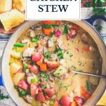 Pot of chicken stew with text title overlay