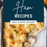 Best roundup of ham recipes