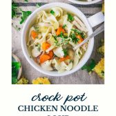 Bowl of crock pot chicken noodle soup with text title at bottom