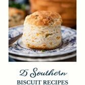 Collage image of biscuit recipes with text title at bottom