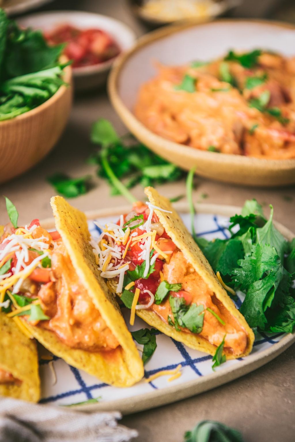 Creamy Crock Pot Salsa Chicken The Seasoned Mom