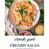 Bowl of creamy crockpot salsa chicken with text title at bottom