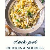 Bowl of crock pot chicken and noodles with text title at bottom.